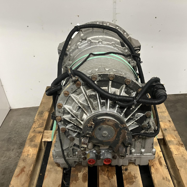 Untitled design - 2024-06-27T141218.188