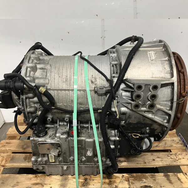 Untitled design - 2024-06-27T141631.067