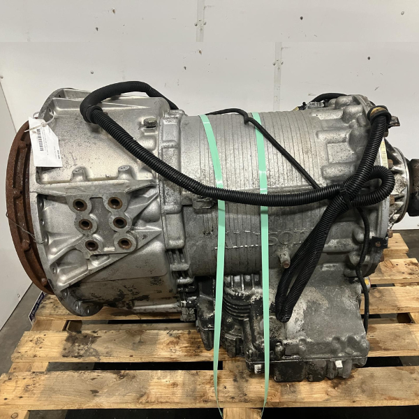 Untitled design - 2024-06-27T141958.410