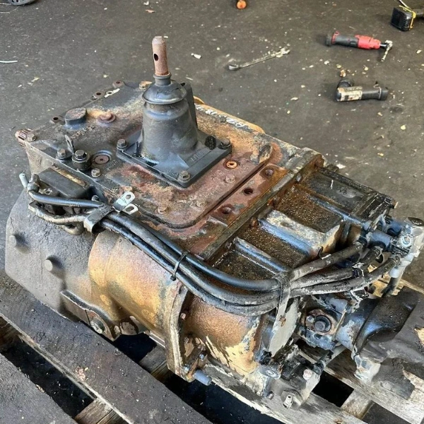 Untitled design - 2024-06-29T170549.205