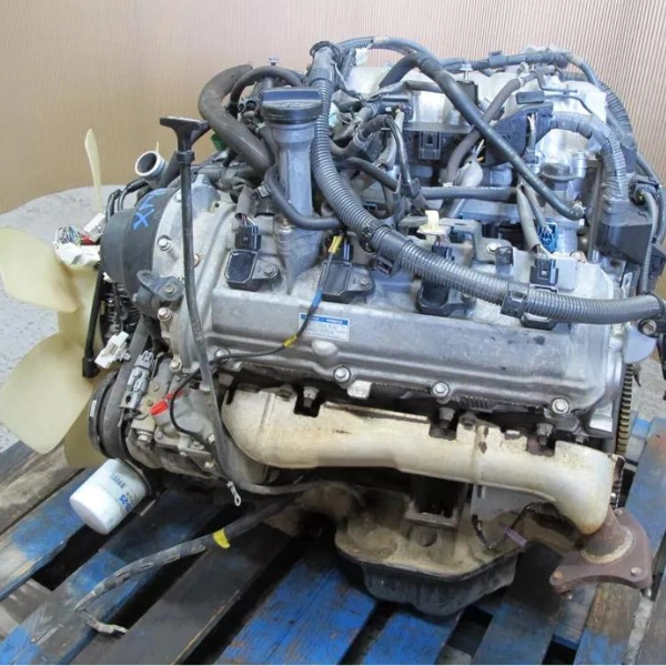 Untitled design - 2024-08-05T122510.147